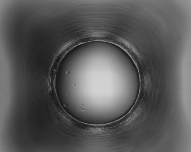 X0000097820970200803201434