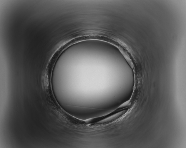 X0000097820973200803201434