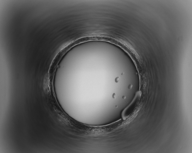 X0000097820974200803201434