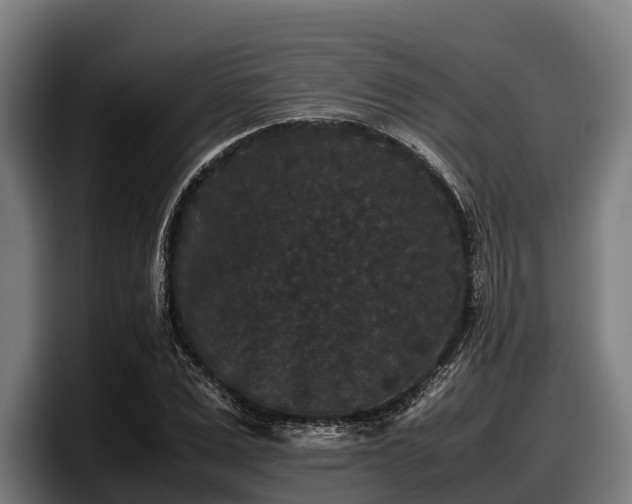 X0000097820975200803201434