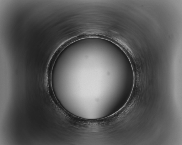 X0000097820976200803201434