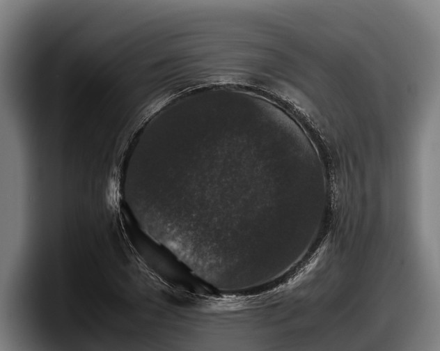 X0000097820977200803201434