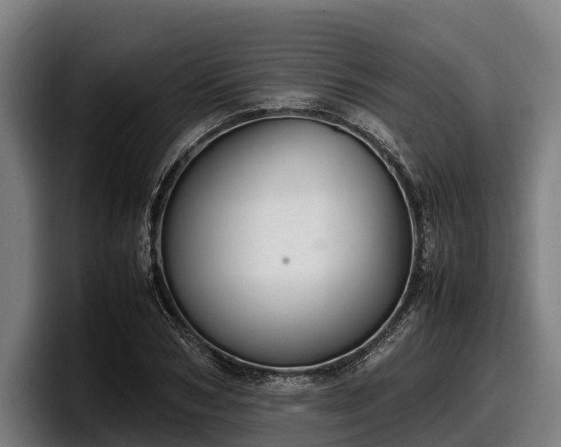 X0000097820978200803201434