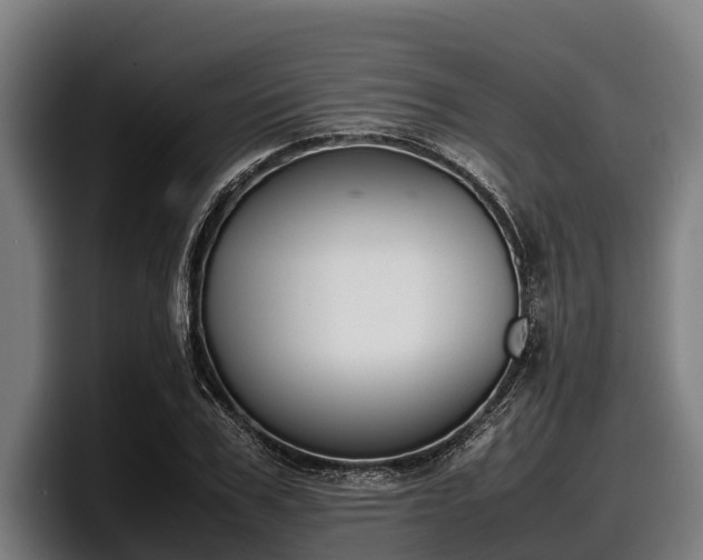 X0000097820979200803201434