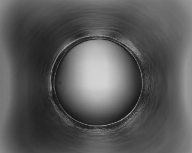 X0000097820980200803201434