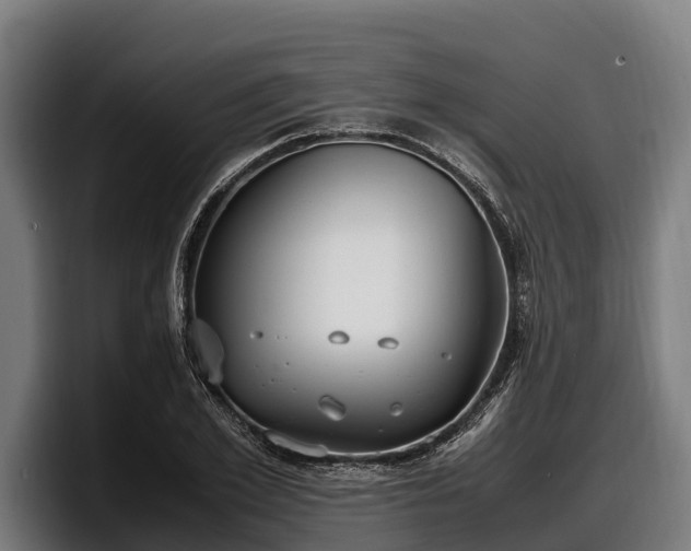 X0000097820981200803201434