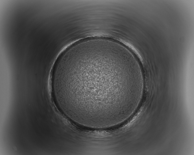 X0000097820983200803201434