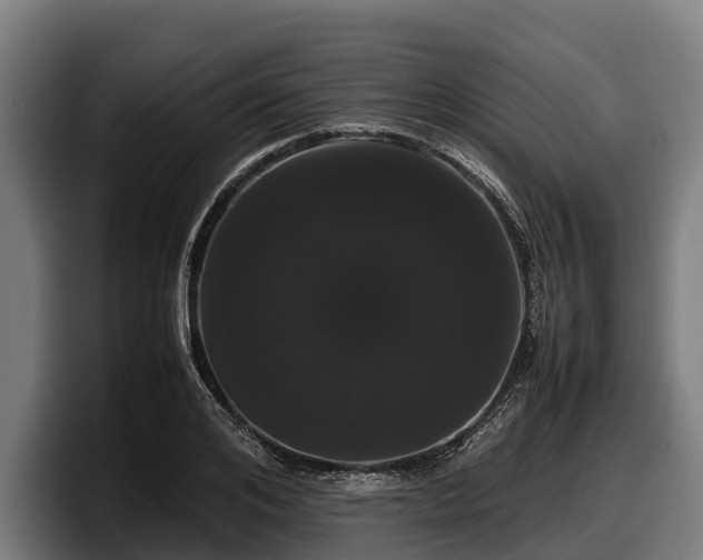 X0000097820984200803201434