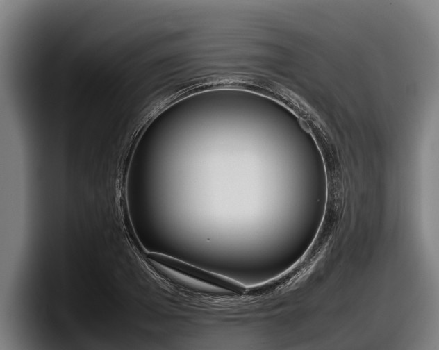 X0000097820985200803201434