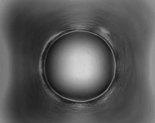 X0000097820987200803201434