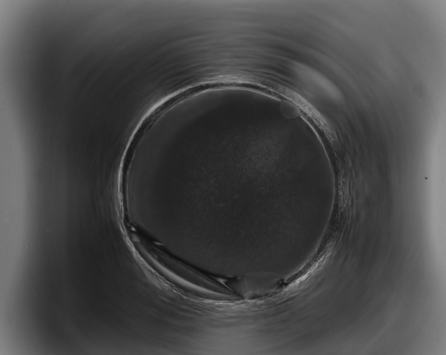 X0000097820988200803201434