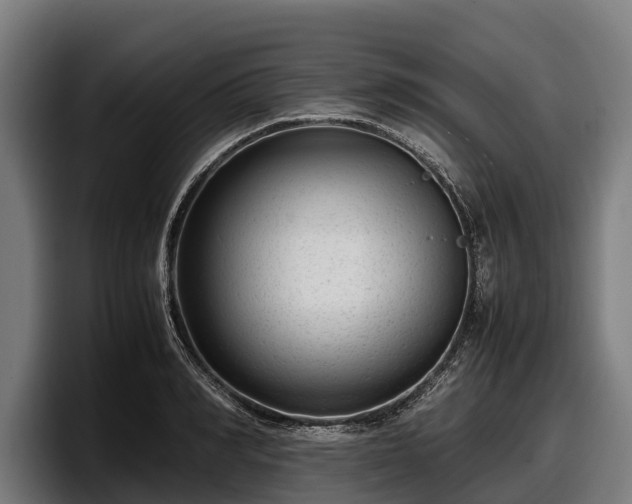 X0000097820990200803201434