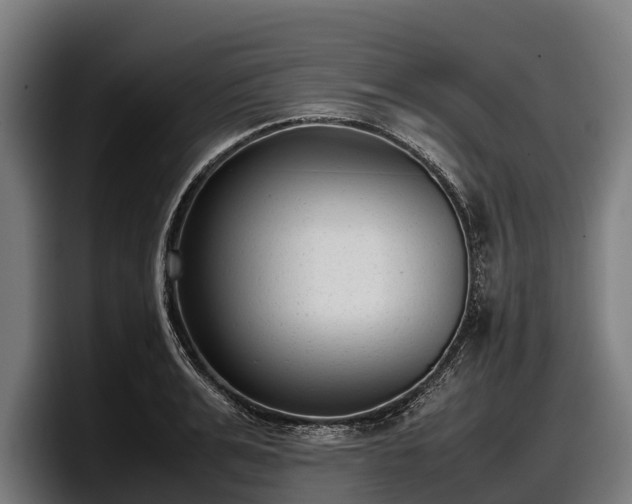 X0000097820991200803201434