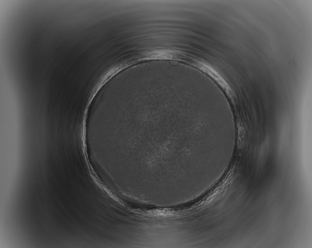 X0000097820994200803201434