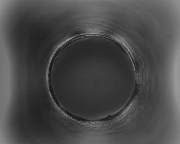 X0000097820995200803201434