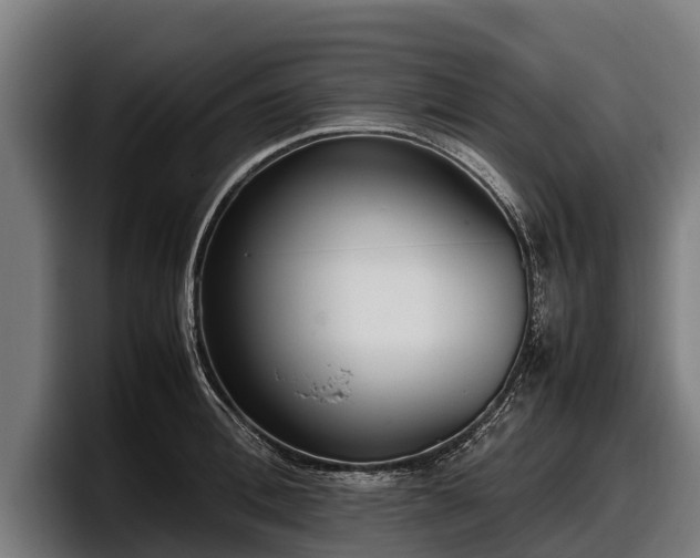 X0000097820996200803201434