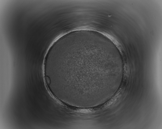 X0000097820998200803201434