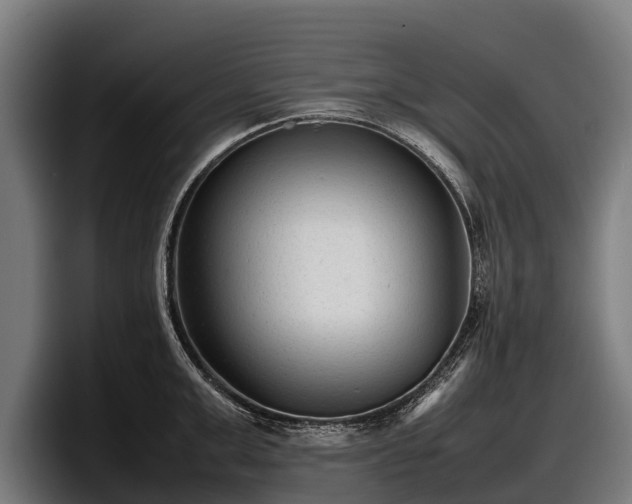 X0000097820999200803201434