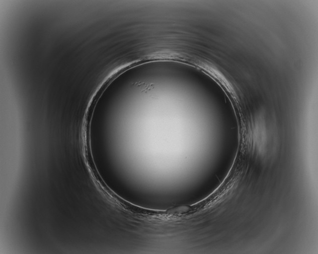 X0000097821000200803201434