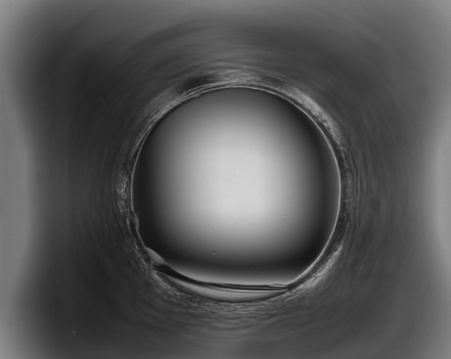 X0000097821001200803201434