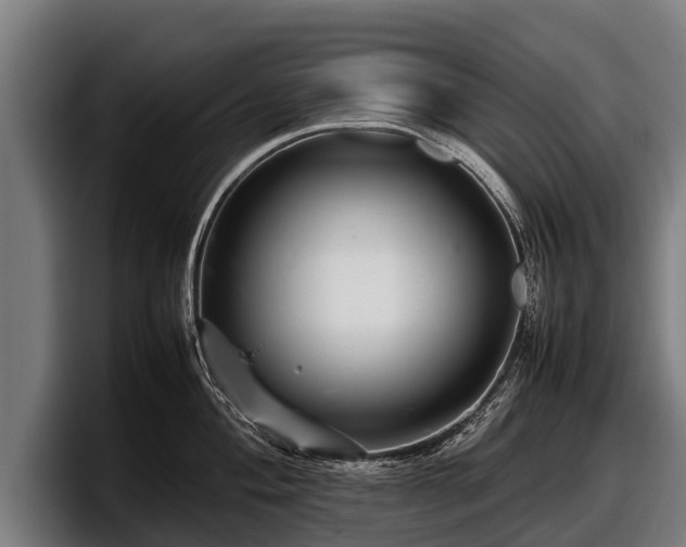 X0000097821004200803201434