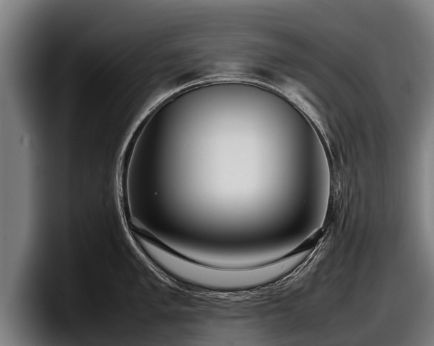 X0000097821005200803201434