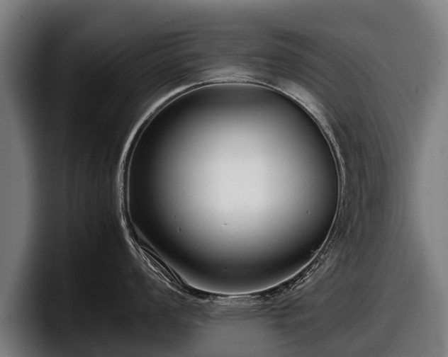 X0000097821008200803201434