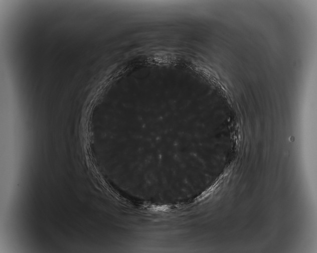 X0000097821009200803201433