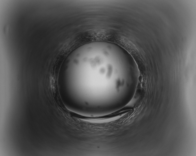 X0000097821010200803201433