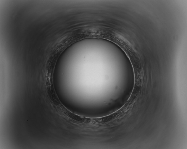 X0000097821013200803201433