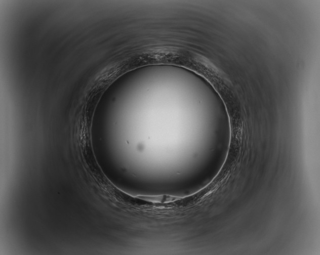 X0000097821014200803201433