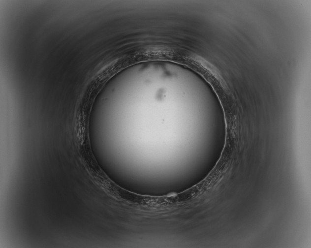 X0000097821015200803201433