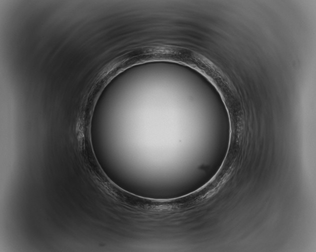 X0000097821017200803201433