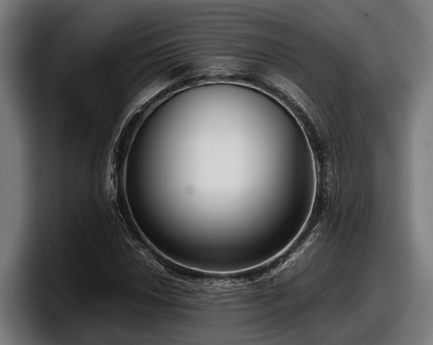 X0000097821018200803201433