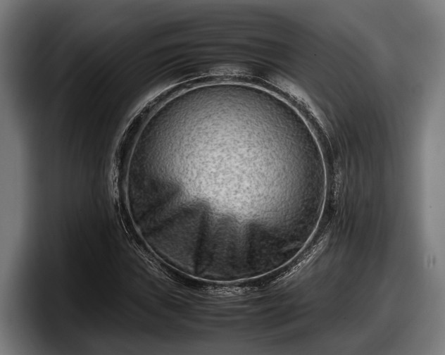 X0000097821019200803201433