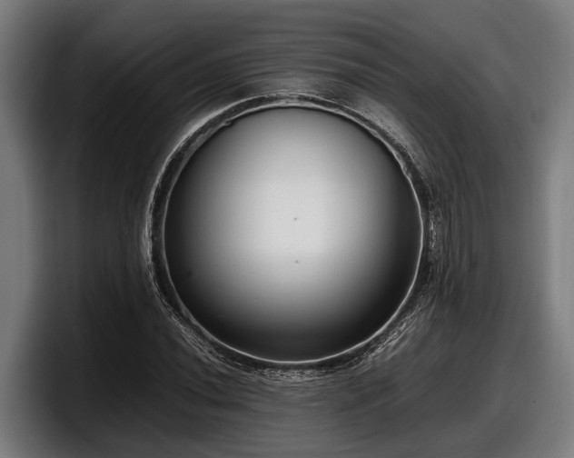 X0000097821020200803201433