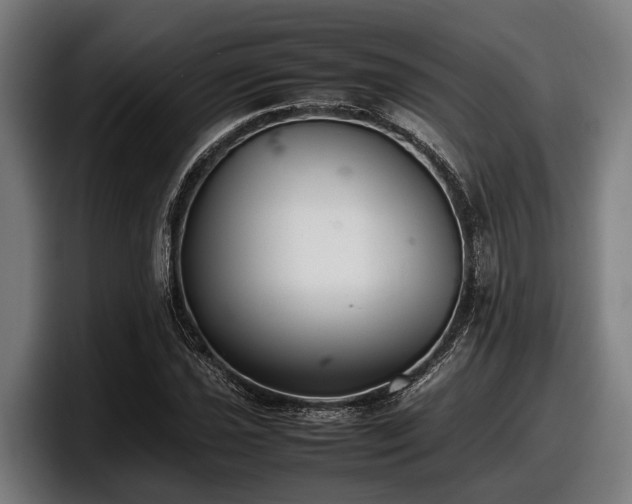 X0000097821021200803201433