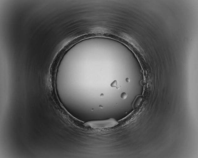 X0000097821022200803201433