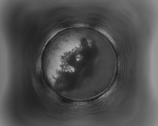 X0000097821023200803201433