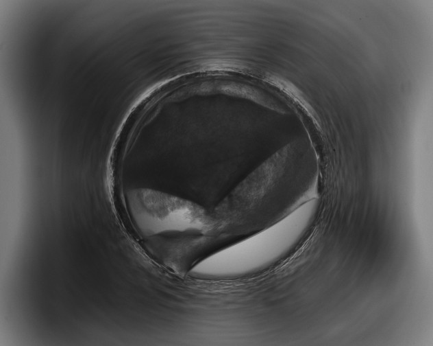 X0000097821024200803201433