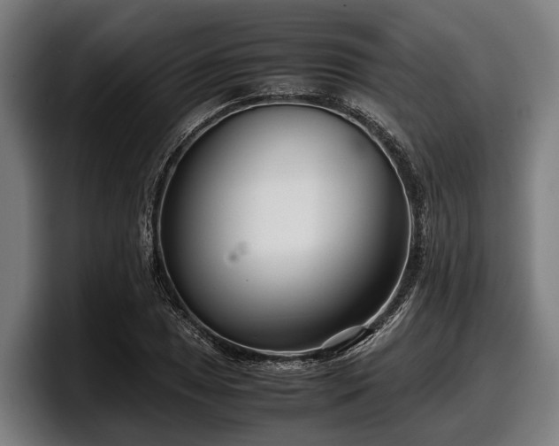 X0000097821025200803201433