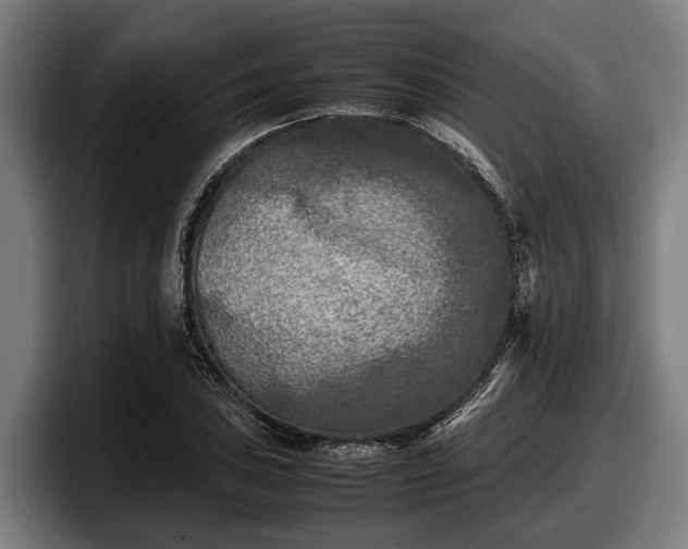 X0000097821027200803201433