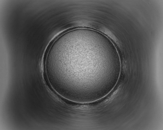 X0000097821028200803201433