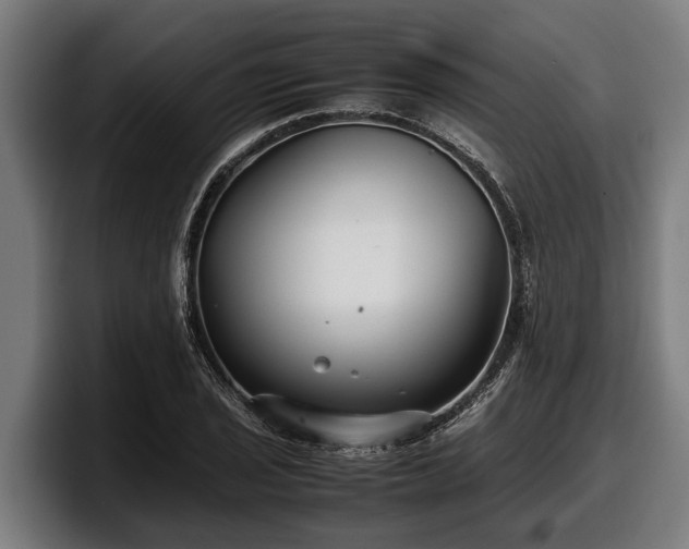 X0000097821029200803201433