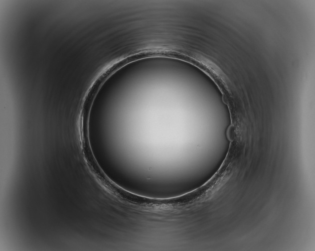 X0000097821030200803201433