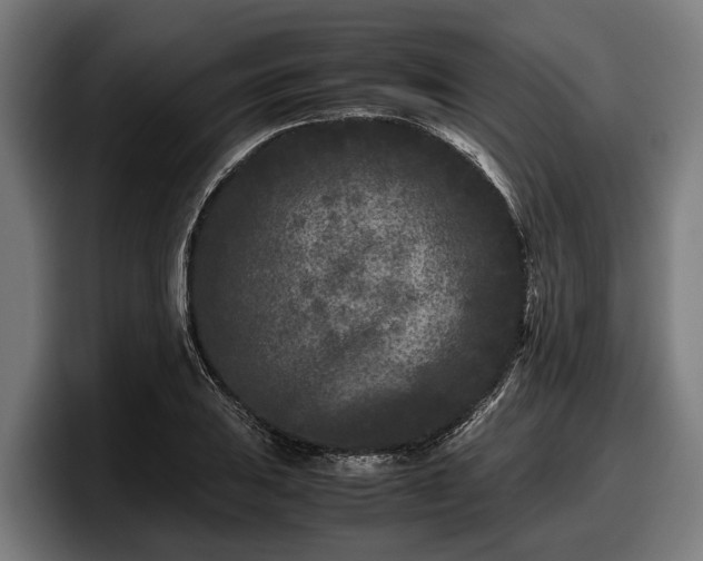 X0000097821031200803201433