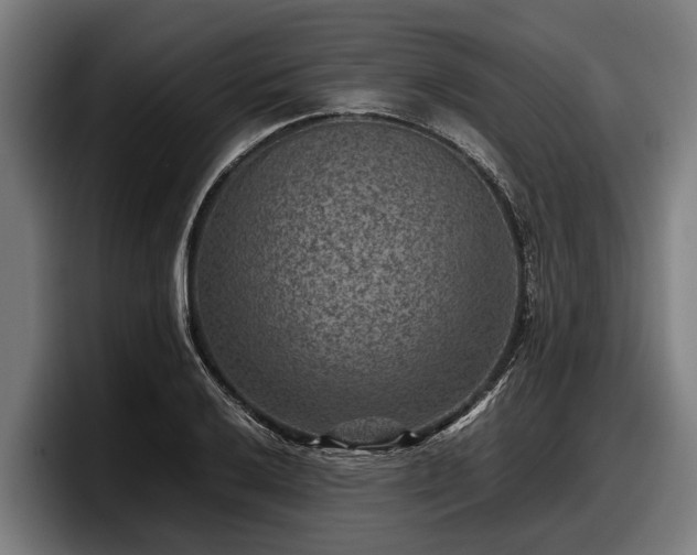 X0000097821032200803201433