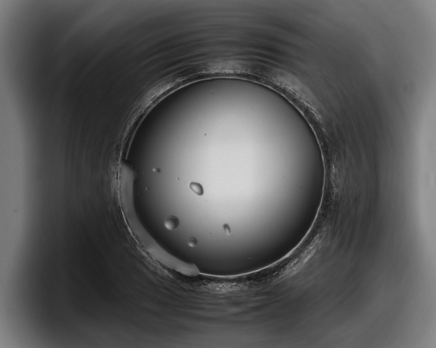 X0000097821033200803201433