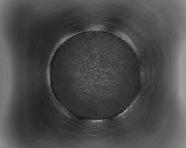 X0000097821035200803201433