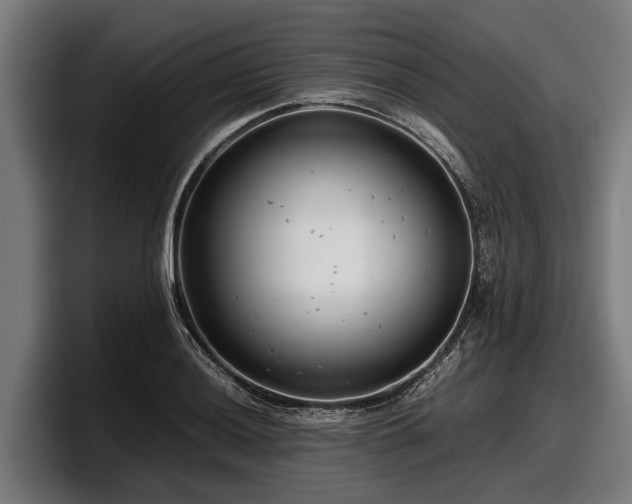 X0000097821036200803201433